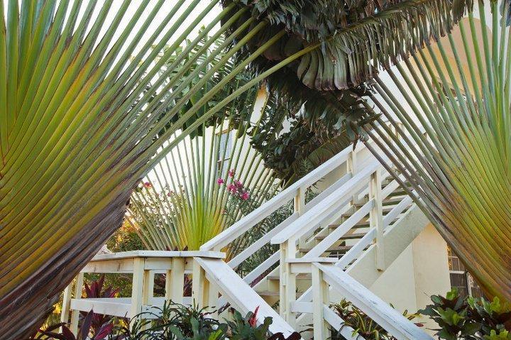 Turquoise Bay Dive & Beach Resort Juticalpa  Extérieur photo